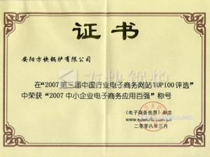 企业电子商务100强